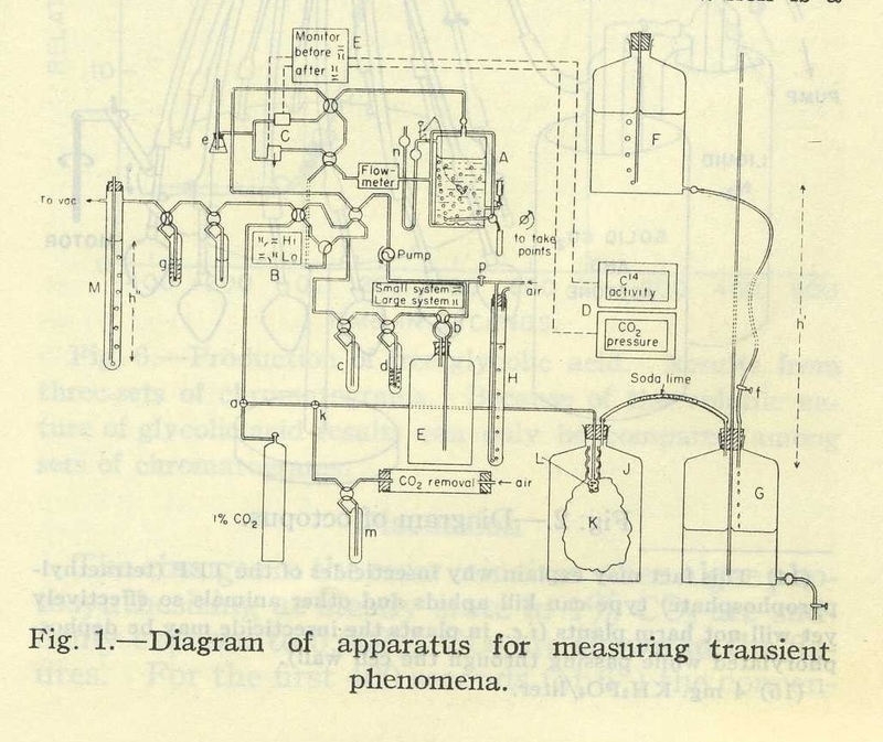 Illustration for article titled Chargers Logo Used To Spice Up Synthetic Chemistry Research